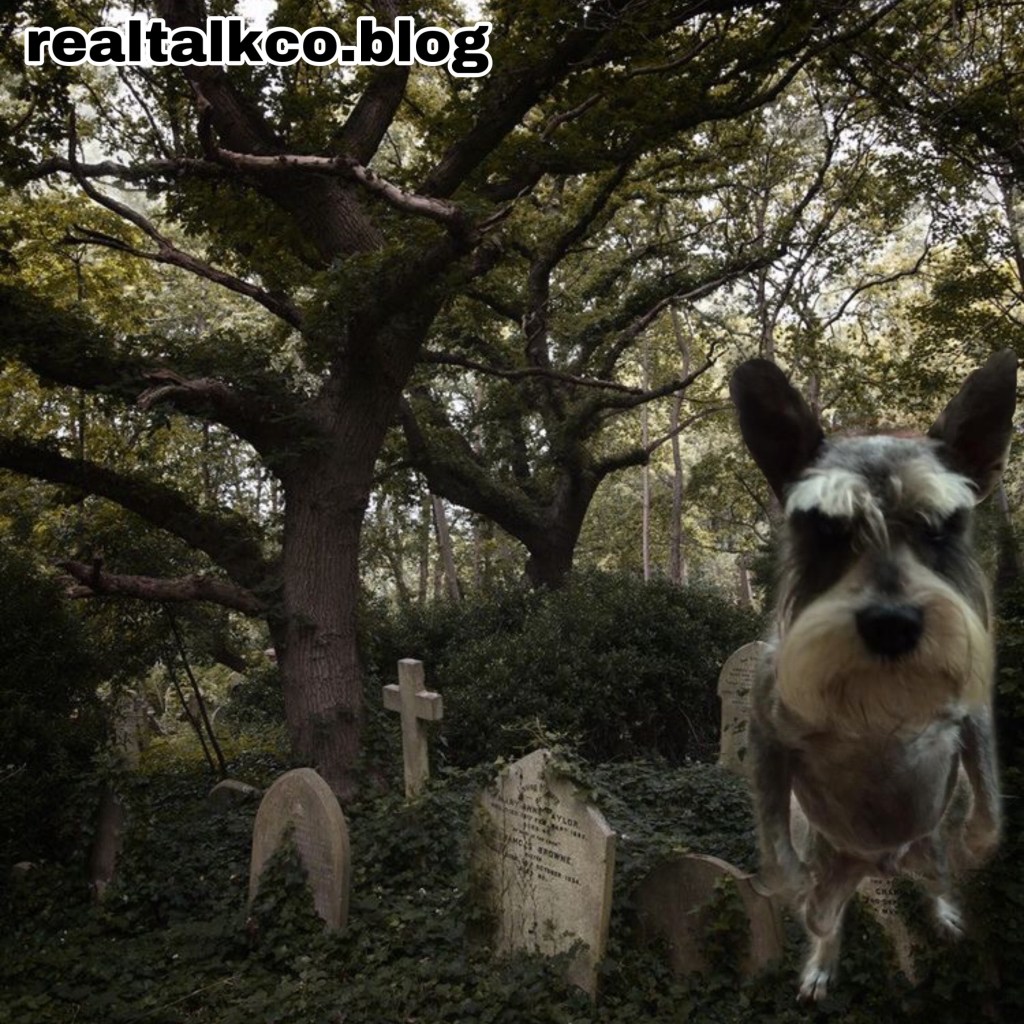 Why Do Pets Live Such Short Lives?&nbsp;(Explained)