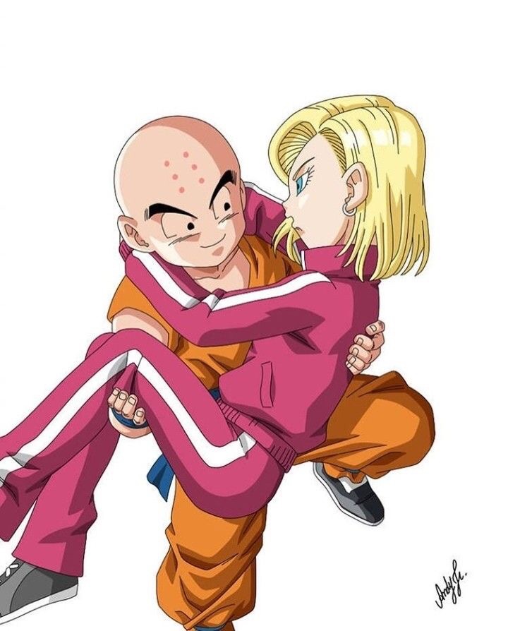 Why Does Android 18 Like Krillin?&nbsp;(Explained)