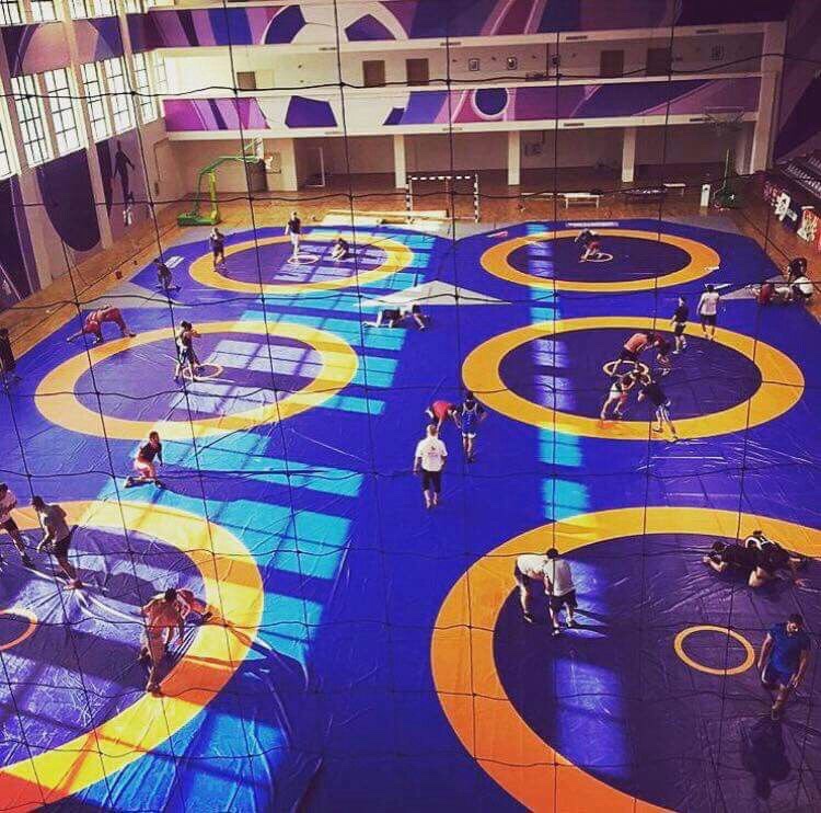 Is Wrestling a Team Sport? (Answered)