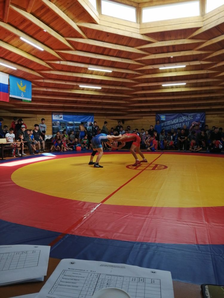 Why is wrestling the hardest sport? (5 reasons explained)