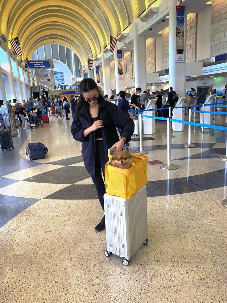 Do airlines check if dogs can stand in carrier&nbsp;(answered)