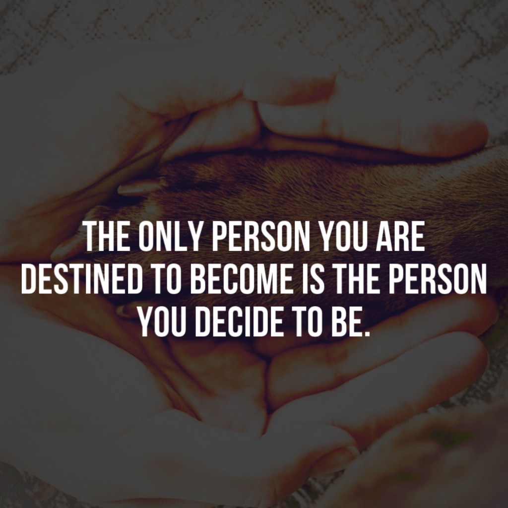 Why is dog god backwards?