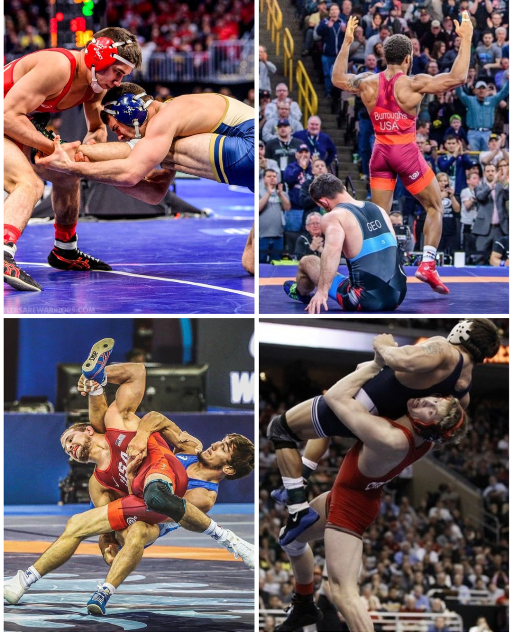 Folkstyle and Freestyle&nbsp;wrestling
