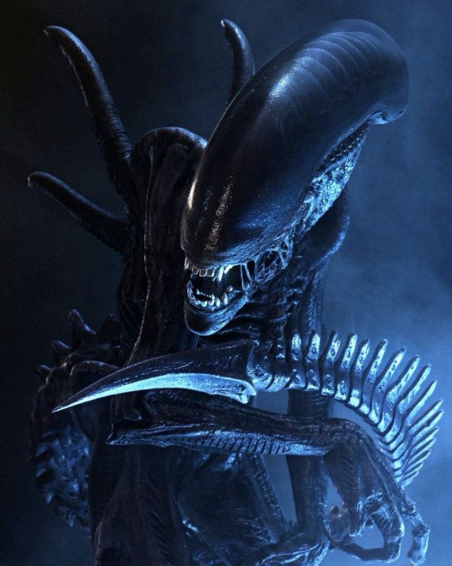 What makes the Xenomorph frightening? (4 reasons&nbsp;explained)