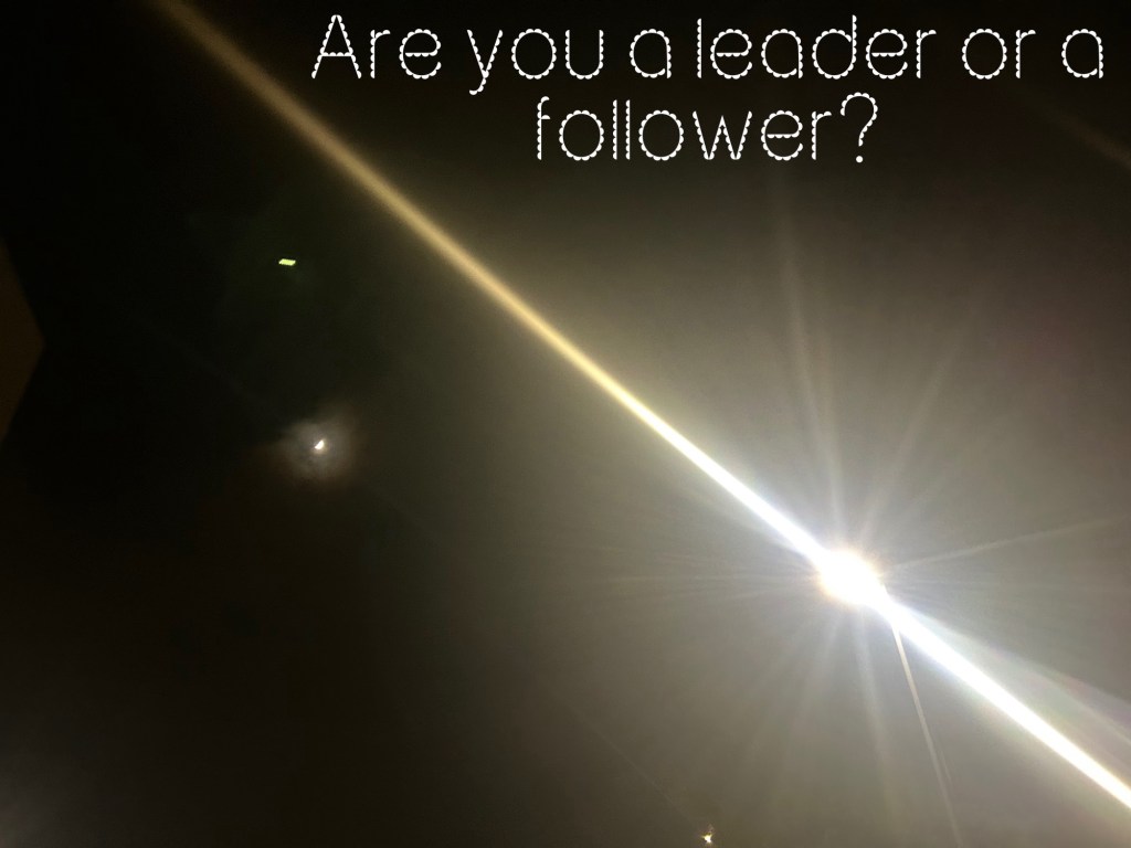 The Leader or the Follower? Which am&nbsp;I?