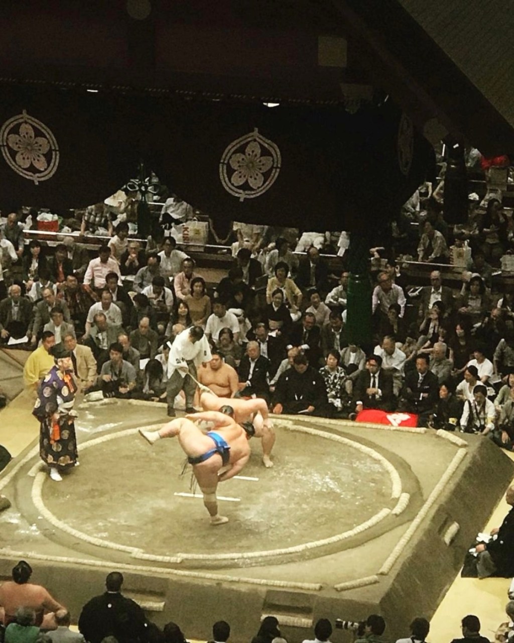 What is the oldest sport besides wrestling? (5 SPORTS revealed)