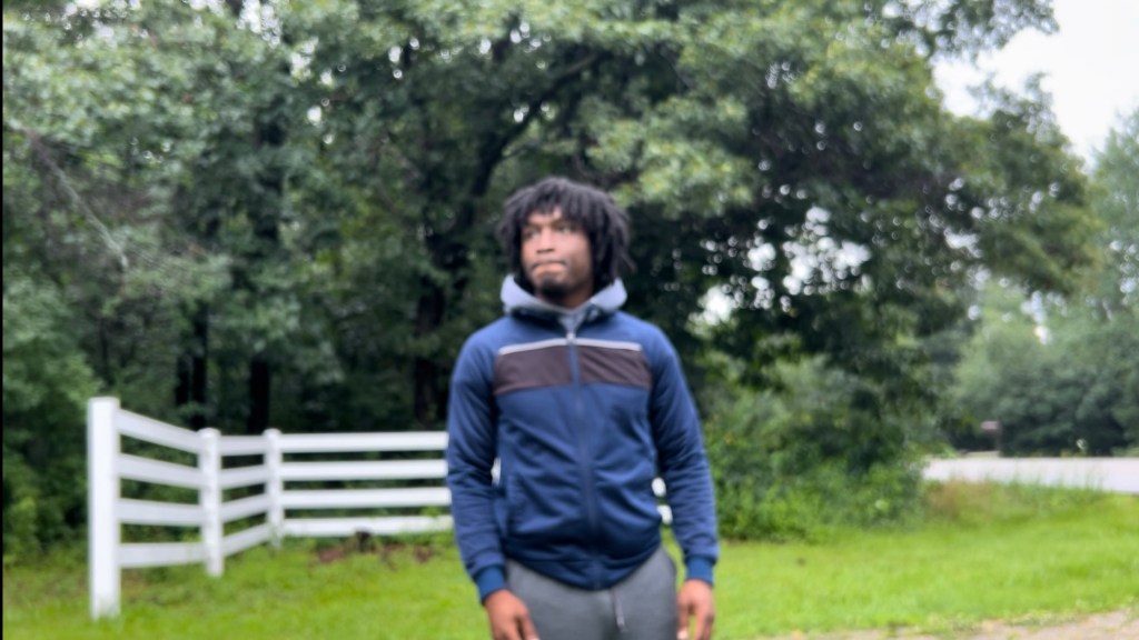 Why is my new lawn yellowing? (4 Possible Reasons&nbsp;Why)