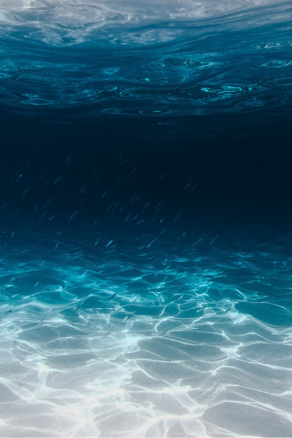 What Makes Some Water Healthier Than Others? (Explained)