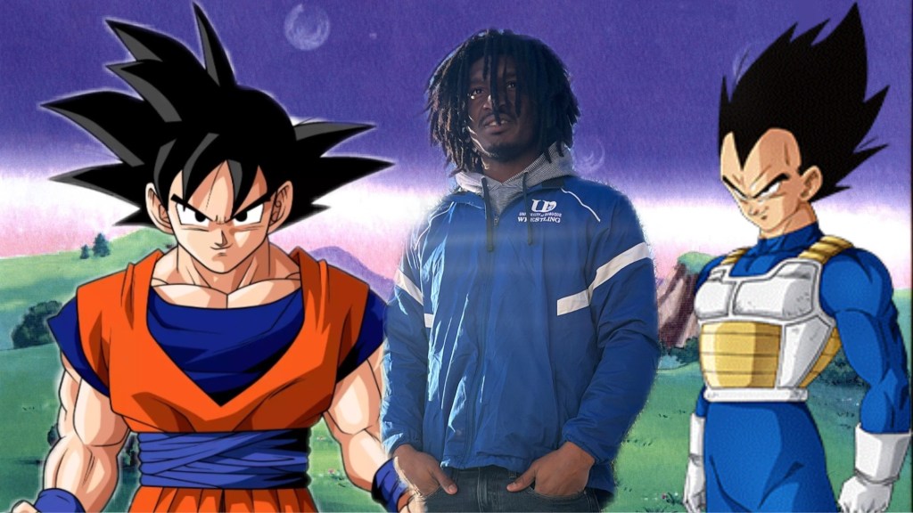 Who I think is better between Goku and Vegeta&nbsp;(Revealed)